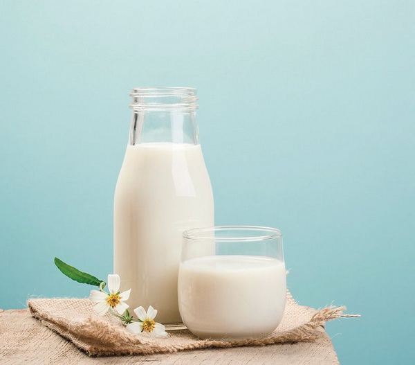 Sữa có nhiều protid tốt và nhiều methionine giúp bảo vệ gan.